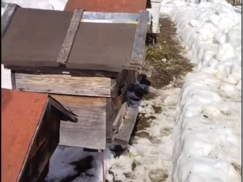 Сезон 2025 открыт!